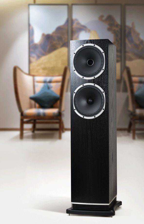 体格健壮的绅士：FYNE AUDIO 英格之声F502落地箱