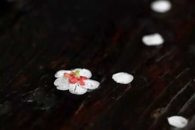 地下室私人影院+私家花园背景音乐，全宅影音系统解决方案赏析