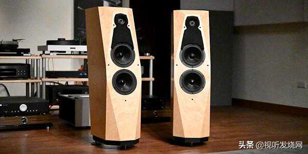 参考等级的High End音箱：盟主Avalon PM1 (Precision Monitor 1)
