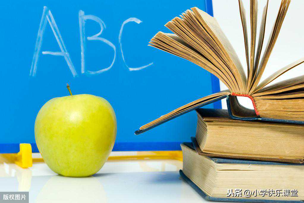 小学英语外研（一起）五年级下册期中知识点汇总