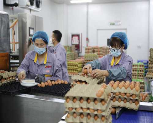 守护安静 哈尔滨冠美路虎揽胜汽车隔音改装大白鲨